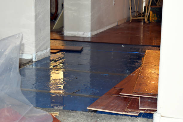 Professional Storm Water Damage Restoration technician working in Houstonia, MO